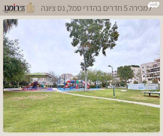 השייטת 