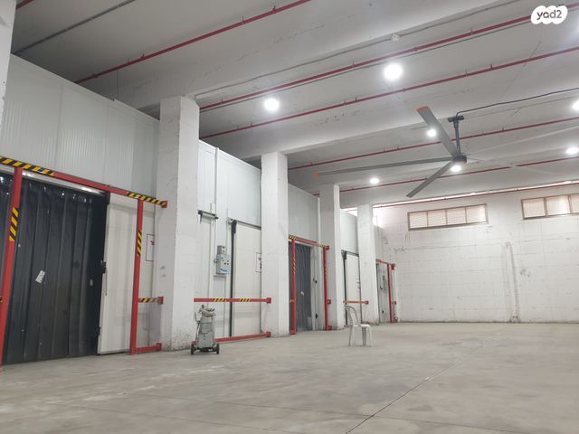 מגרשים, יציאה לדרך ישראל בר יהודה, חיפה