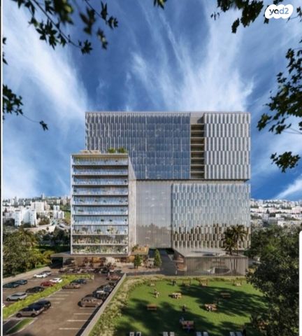 מגרשים, יציאה לדרך ישראל בר יהודה, חיפה