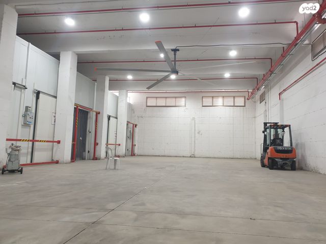 מגרשים, יציאה לדרך ישראל בר יהודה, חיפה