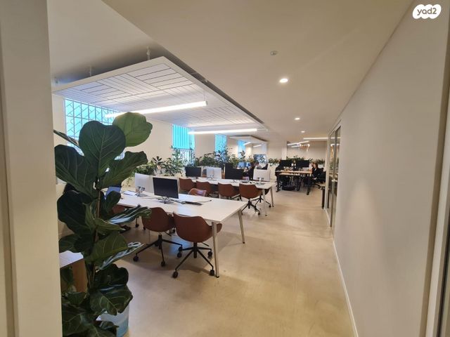 משרדים, דובנוב, גני שרונה, קרית הממשלה, תל אביב יפו