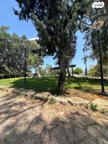 כללי, תל אביב יפו