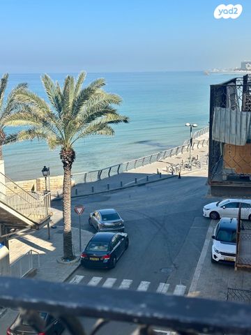 כללי, תל אביב יפו