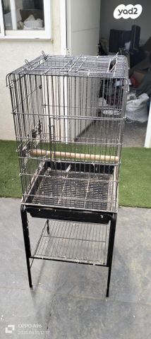 תמונת מודעה - חיות מחמד