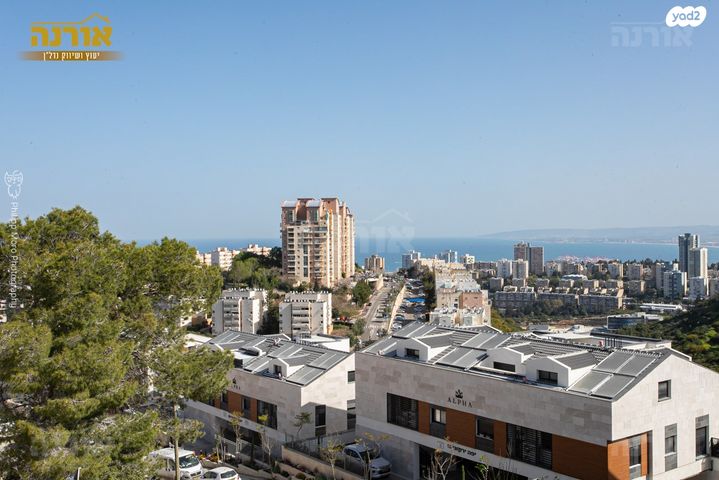 דירה, הדודאים, גבעת זמר, חיפה