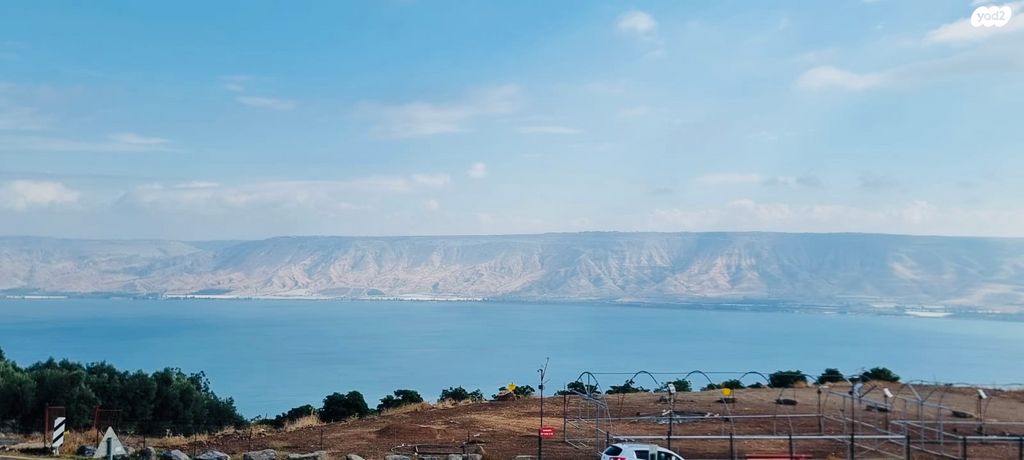 מגרשים