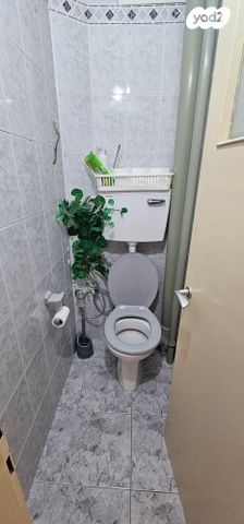 דירה, התימורים, פנחס ספיר, מגדל העמק