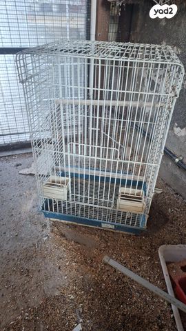 תמונת מודעה - חיות מחמד