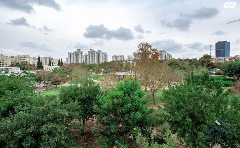 דירה, חדרה, הדר המושבות הותיקה / אם המושבות הותיקה, פתח תקווה