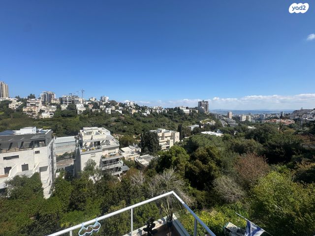 פייגין 