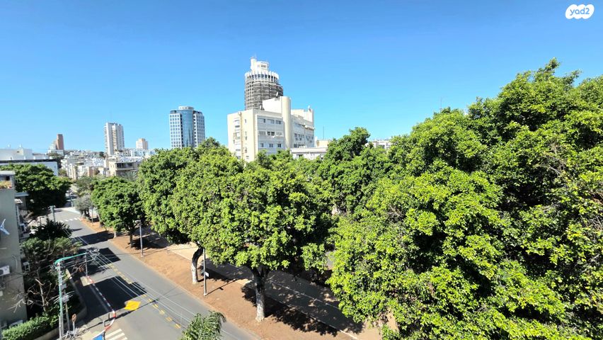 שדרות בן ציון 14