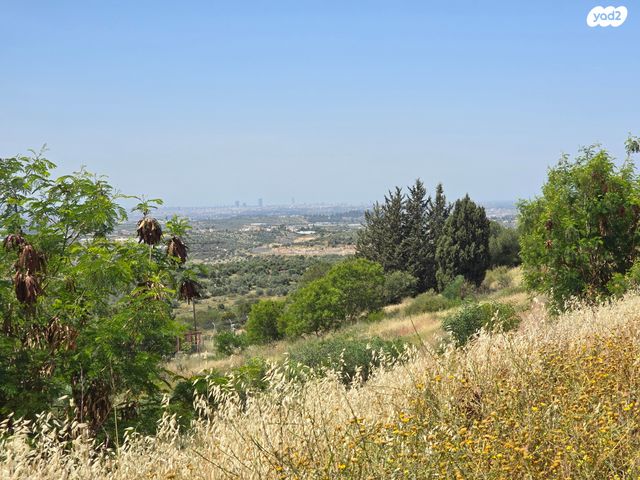 סלעית