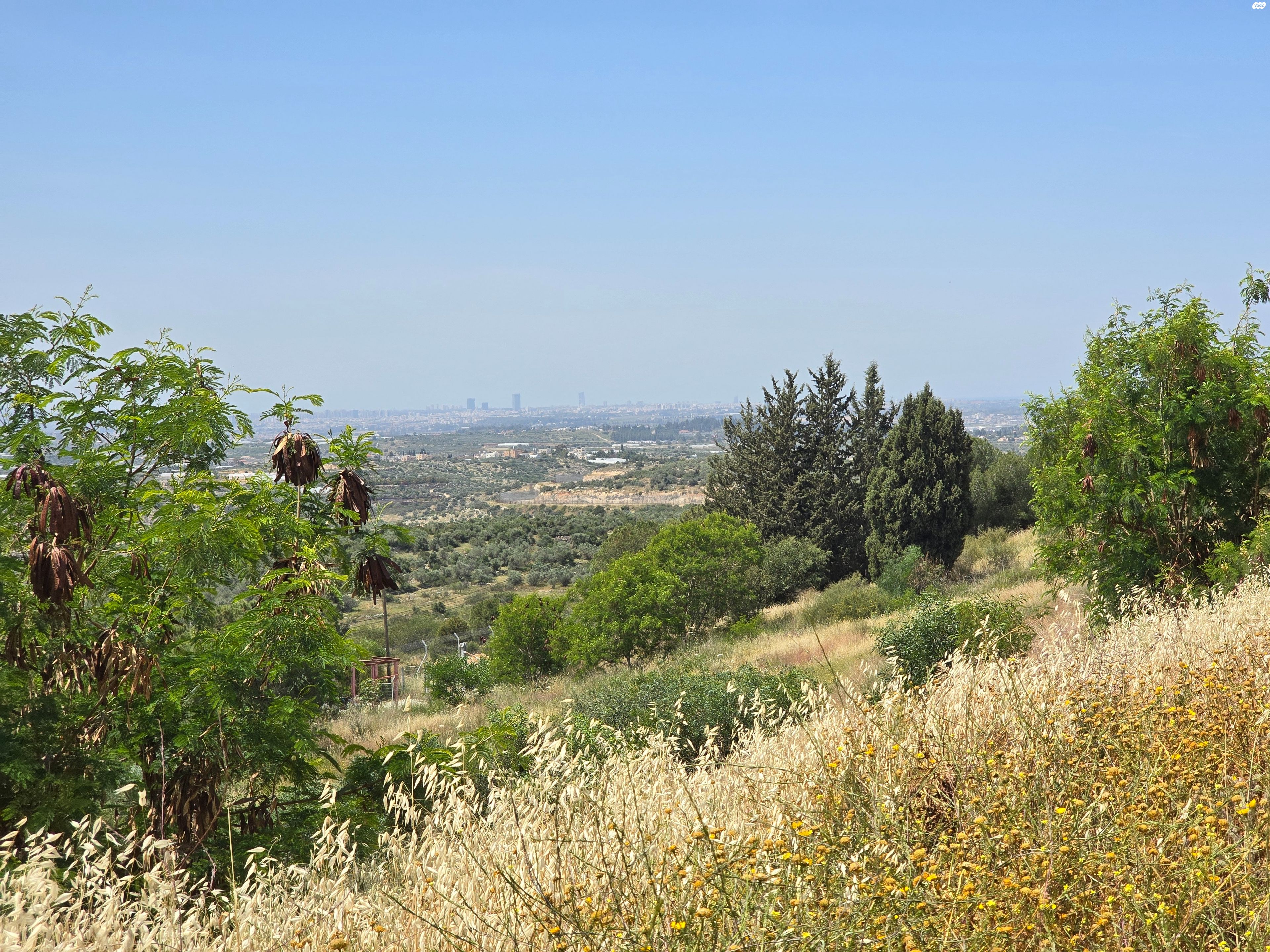 סלעית