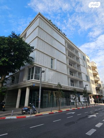 אחד העם 13