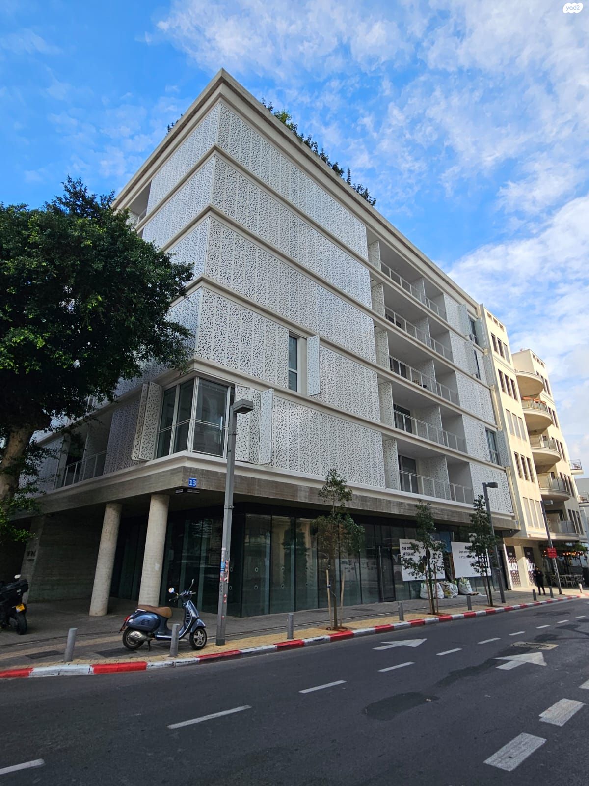 אחד העם 13