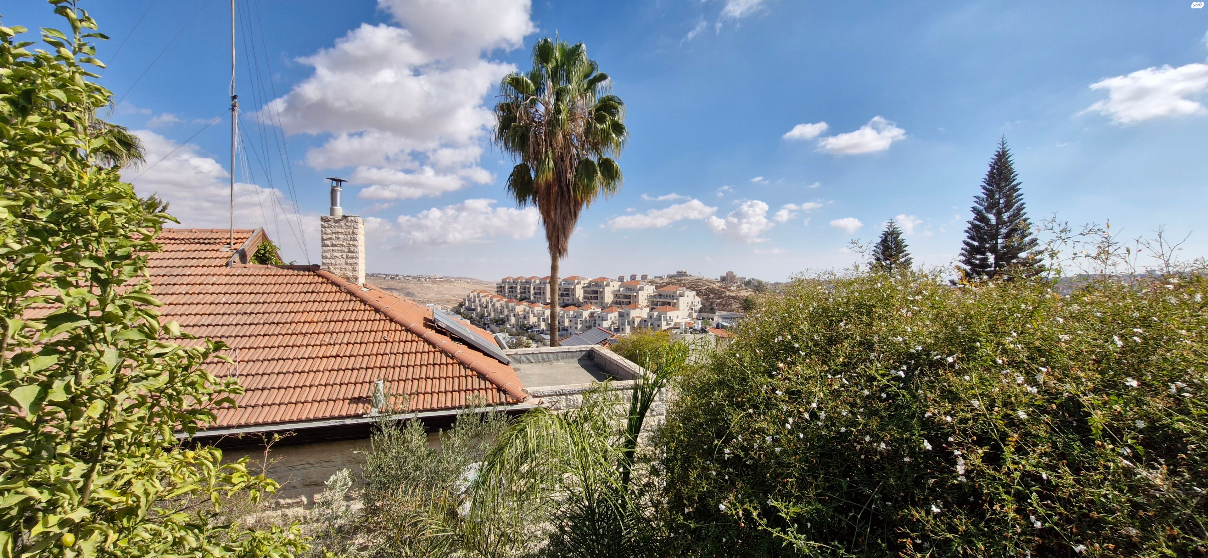 פסגת זאב