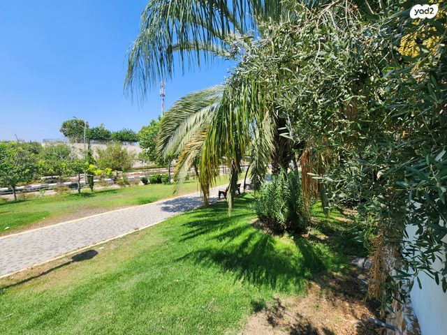 דירת גן, העלייה, נווה אפק, ראש העין