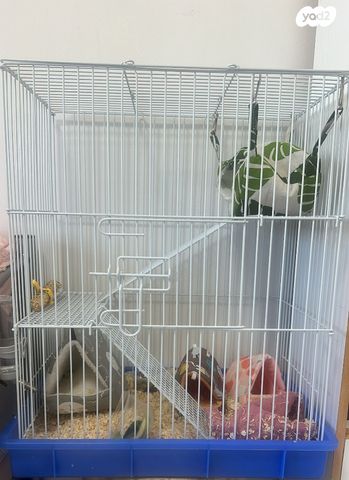 אביזרים | כלוב