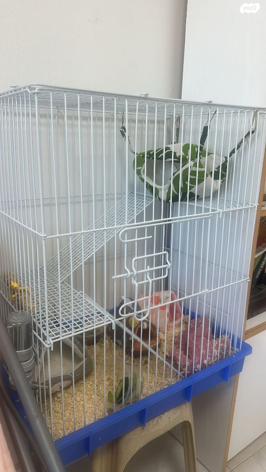 אביזרים | כלוב