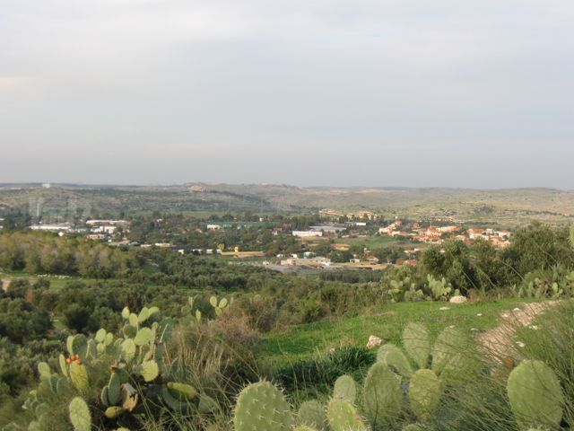 משק חקלאי/ נחלה למכירה בבית זית (תיווך) — 3