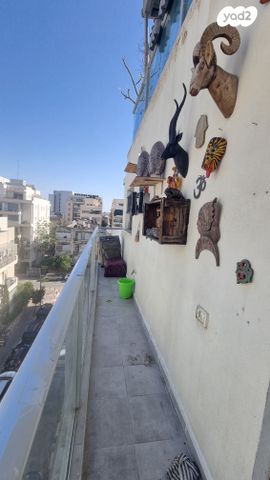 דירה, איילת השחר, נווה שאנן, תל אביב יפו