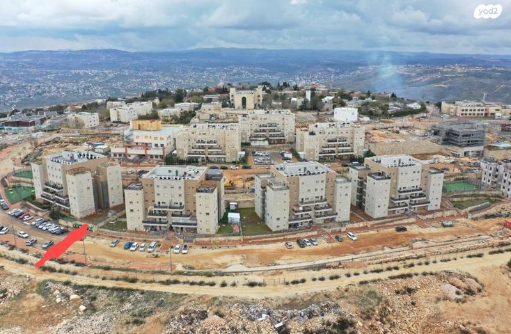 צפנת 6