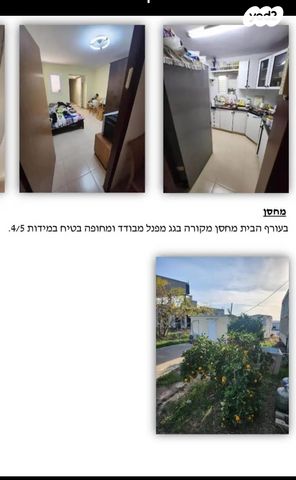 הדקל 1