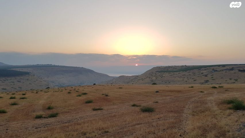 המייסדים 1