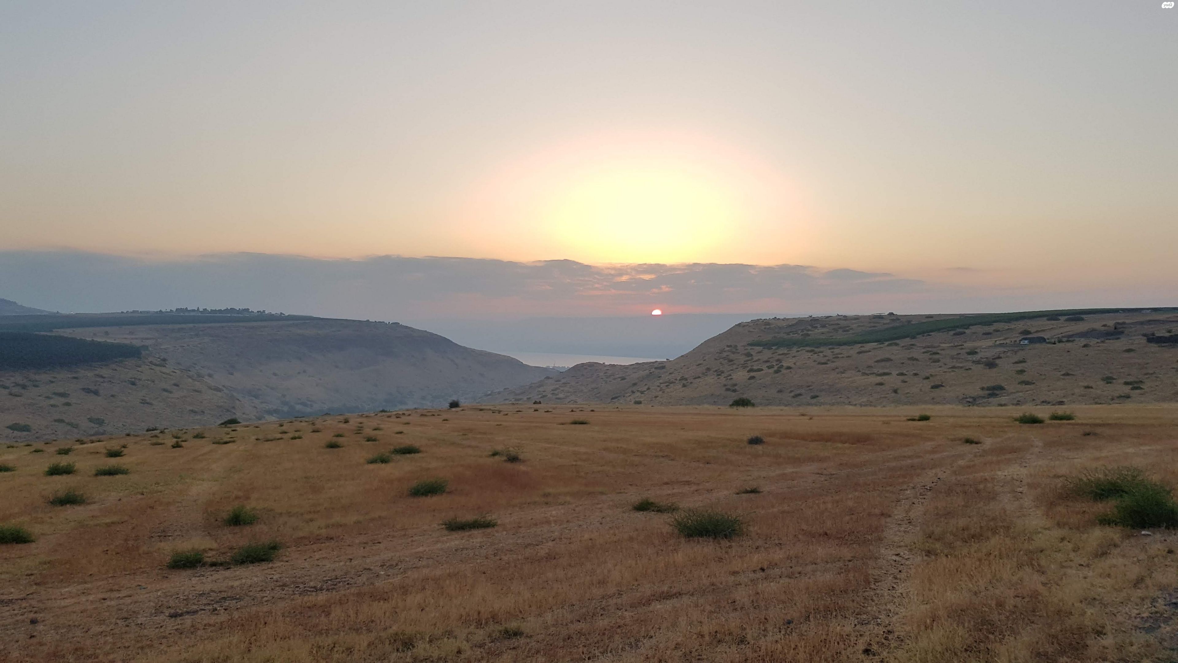 המייסדים 1