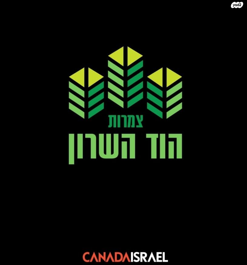 שביל התפוזים 1