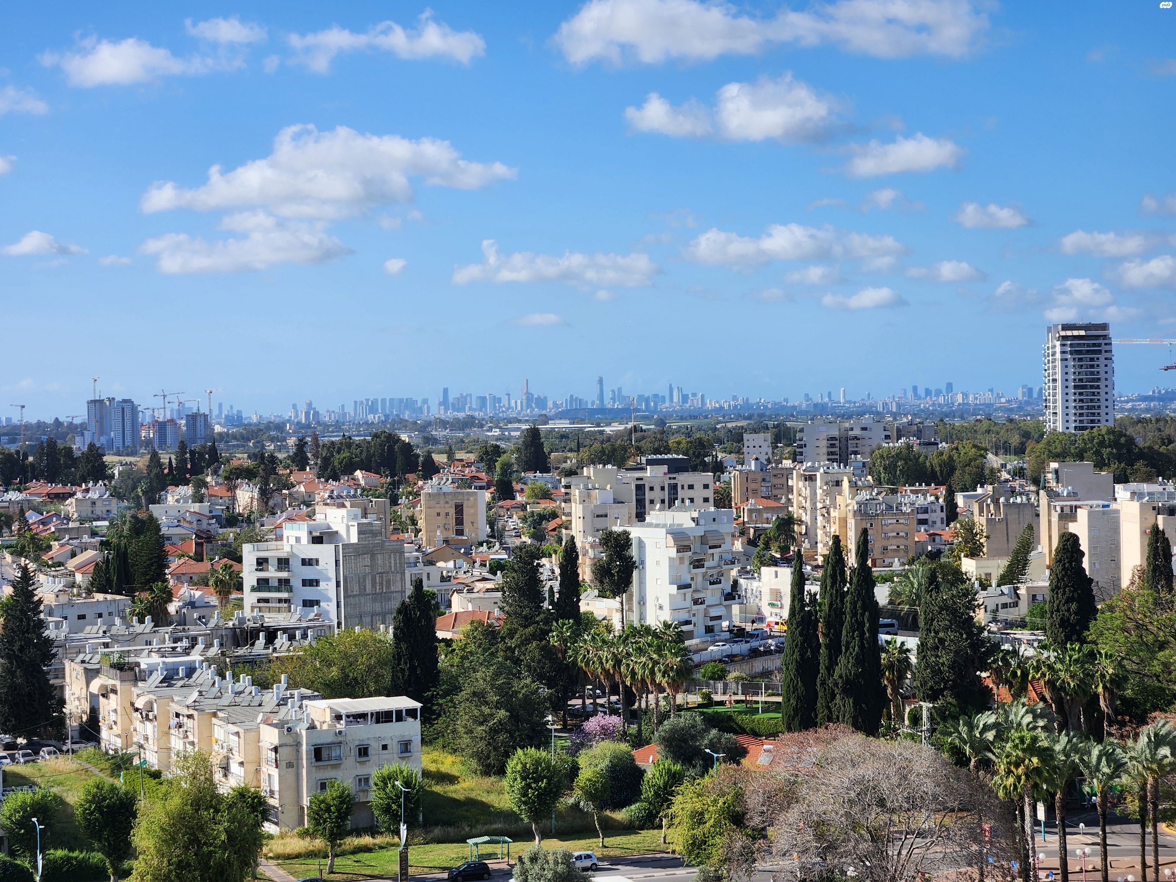 יגאל אלון 2