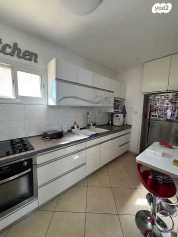 אריה צימוקי 