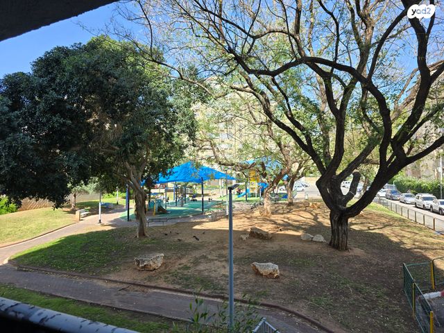 דירה, יעקב קרול, קרול, פתח תקווה