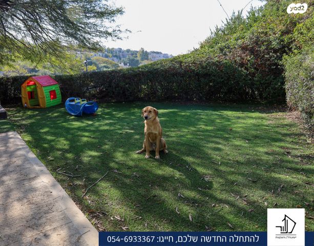 בית פרטי/ קוטג', מצפה אבי"ב