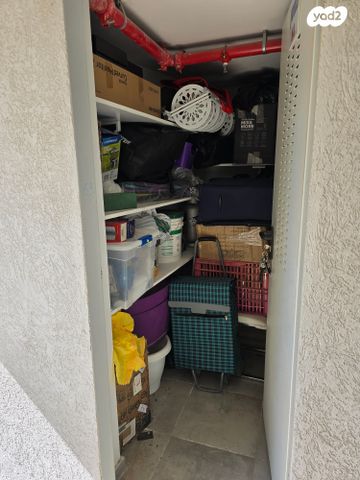 דירה, יעקב קרול, קרול, פתח תקווה