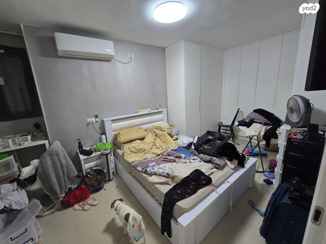 דירה, יעקב קרול, קרול, פתח תקווה