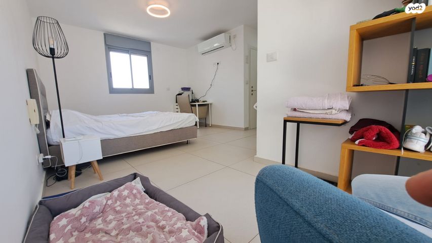 דופלקס, נרקיסים, ראשון לציון