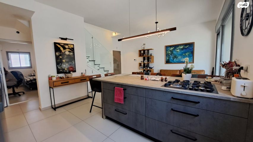 דופלקס, נרקיסים, ראשון לציון