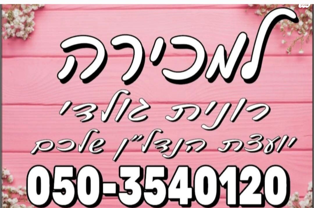 מגרשים