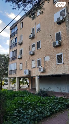 דירה, הגליל, המיסדים, כרמיאל