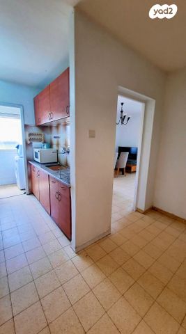 דירה, הגליל, המיסדים, כרמיאל