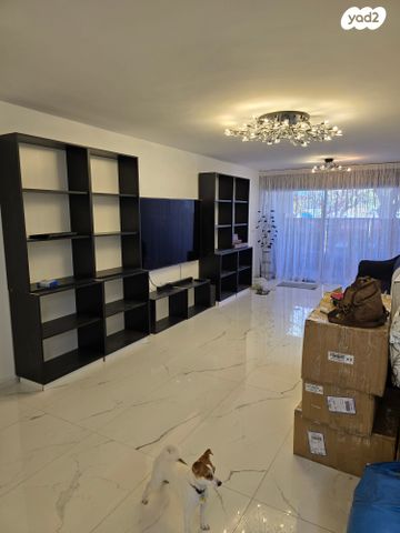 דירה, יעקב קרול, קרול, פתח תקווה