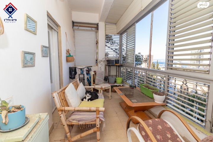 דירה, מסדה, חיפה