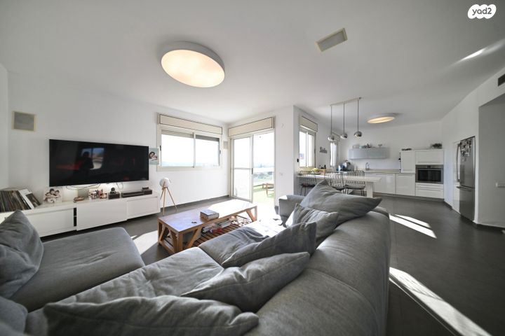 דופלקס, ארזים, גבעת התור, נס ציונה