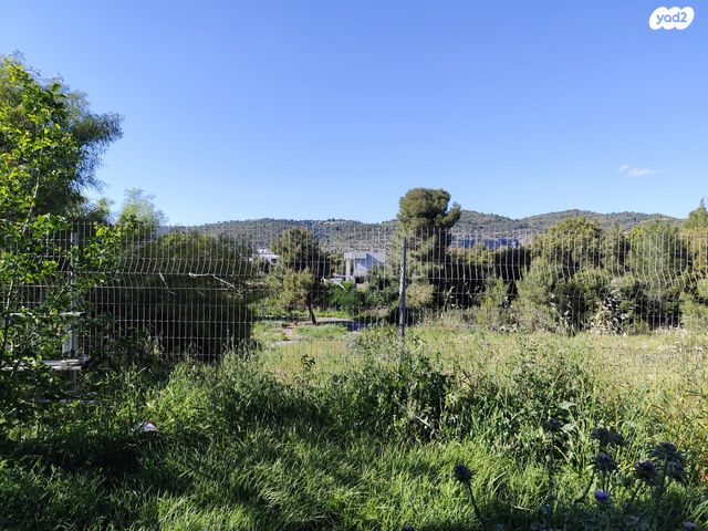 בית פרטי/ קוטג', יערה