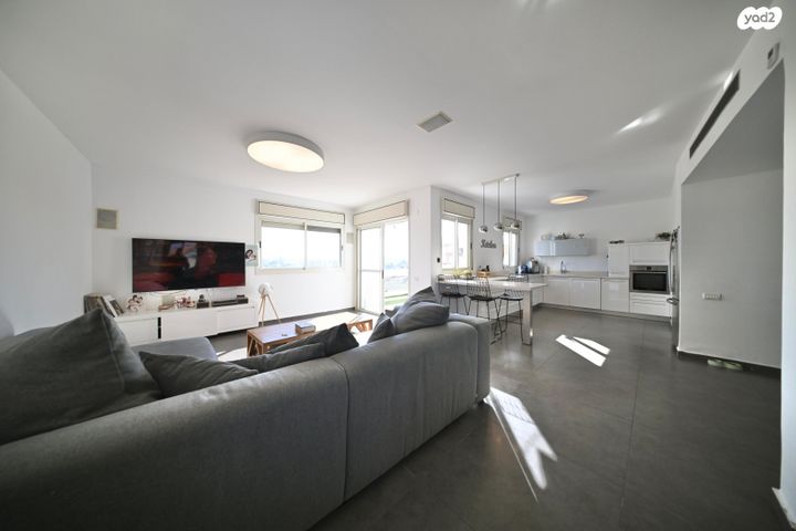 דופלקס, ארזים, גבעת התור, נס ציונה