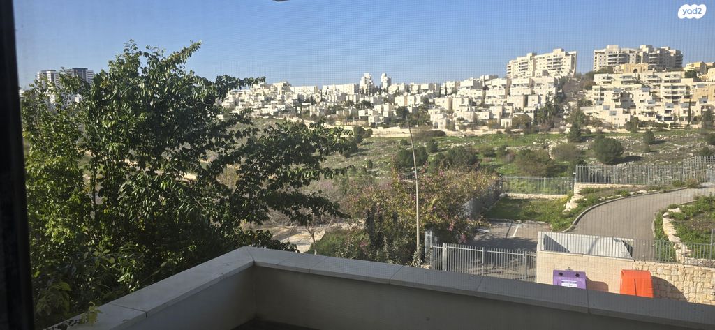 דוכיפת 25