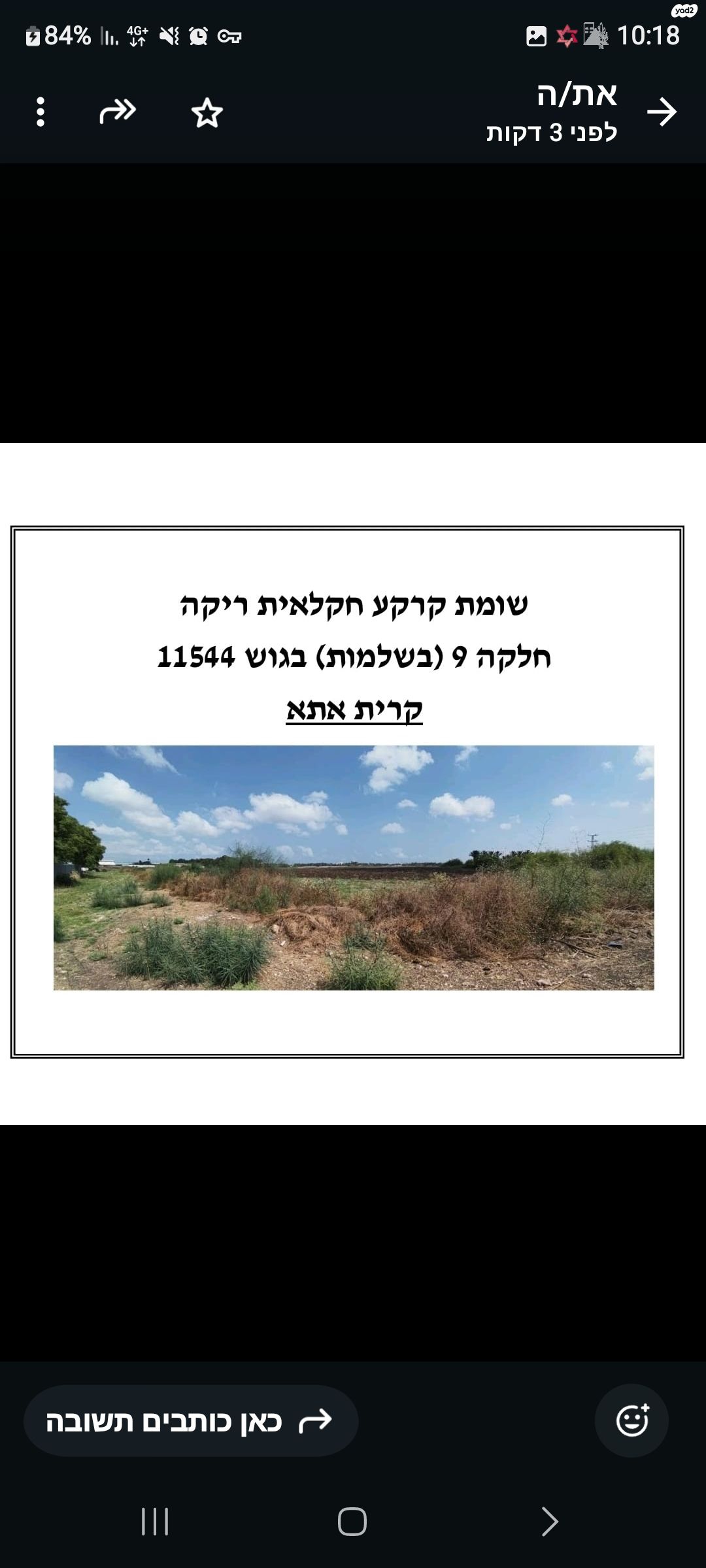 הביכורים 8