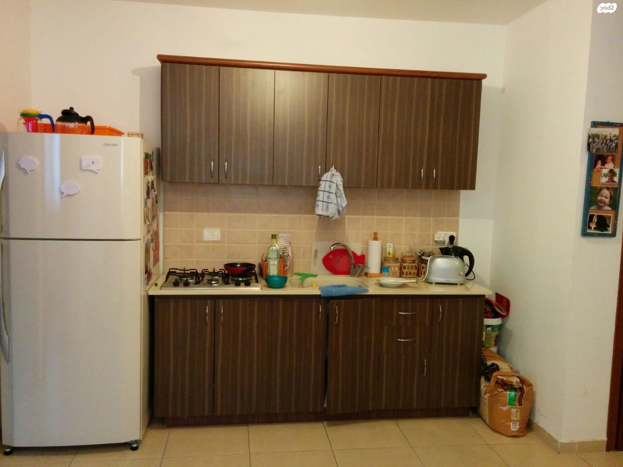 חנה סנש 13