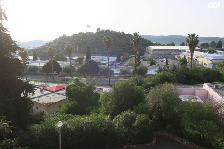 הרצל 156
